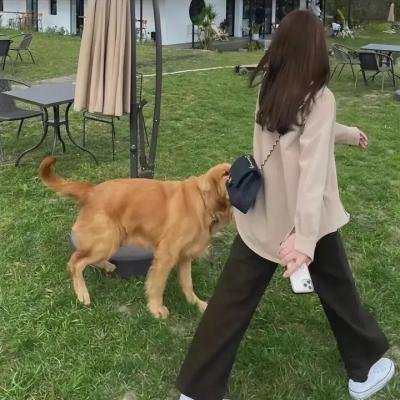虚拟偶像